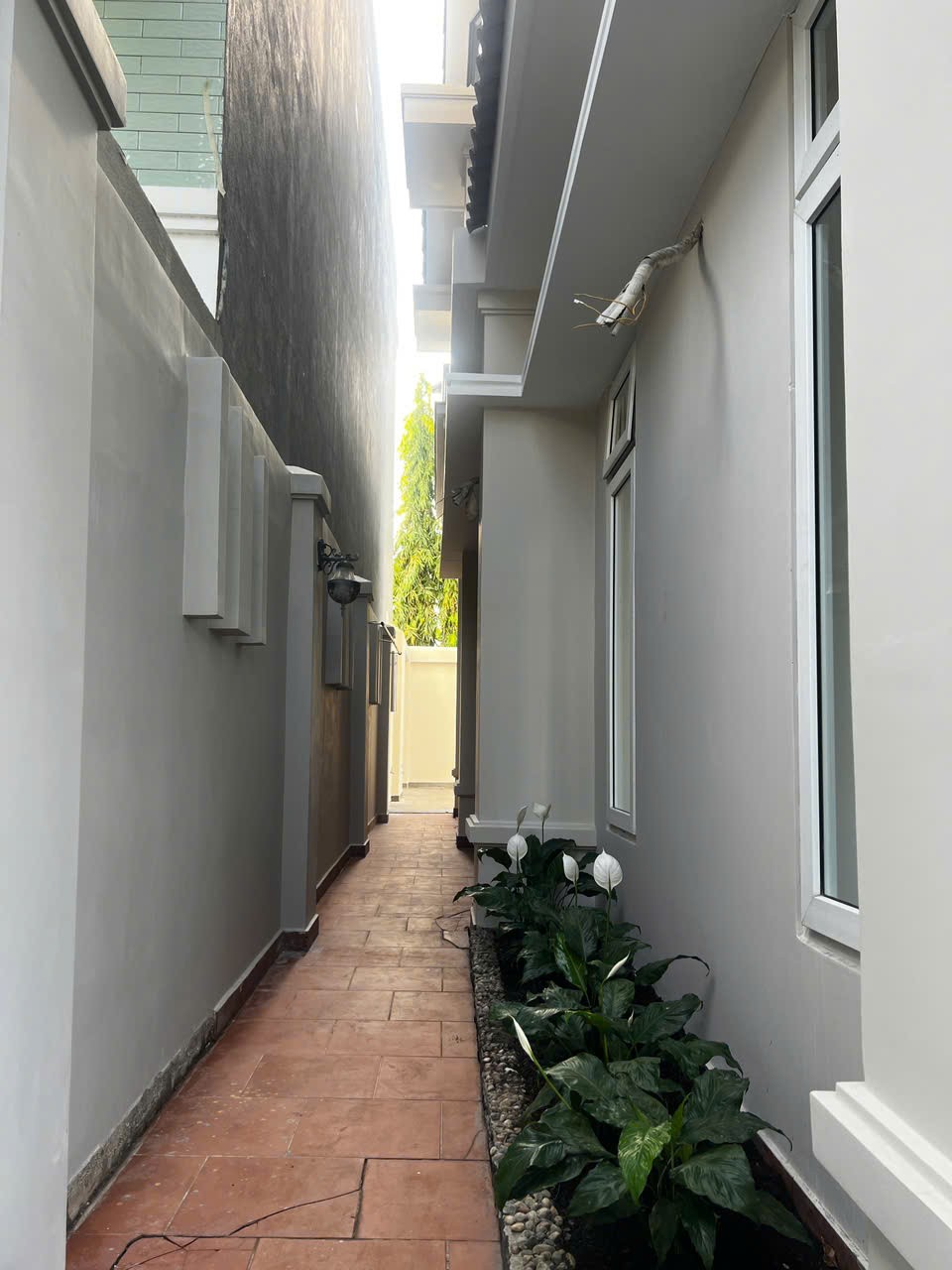 Cho thuê Biệt thự Phường Phú Hữu, Quận 9, Diện tích 360m², Giá 037 Triệu/tháng 8