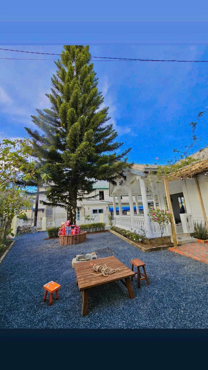 CHO THUÊ VILLA SÂN VƯỜN HOÀNG HOA THÁM - PHƯỜNG 10 ĐÀ LẠT 5