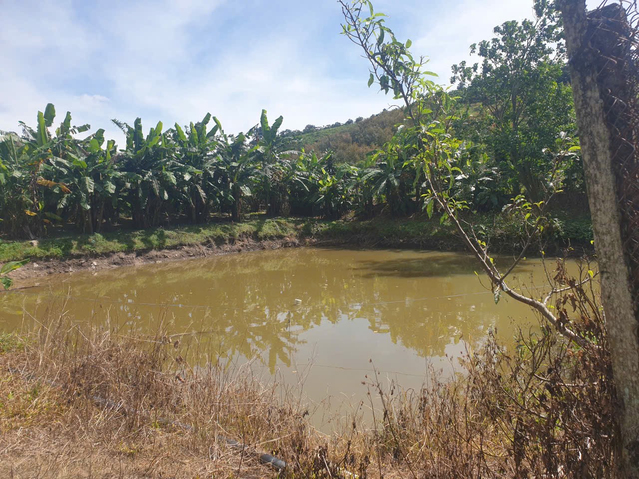 Bán đất vườn view đẹp thôn 10, xã Lộc Nam tdt 14.500m2 giá 11,2 tỷ 4