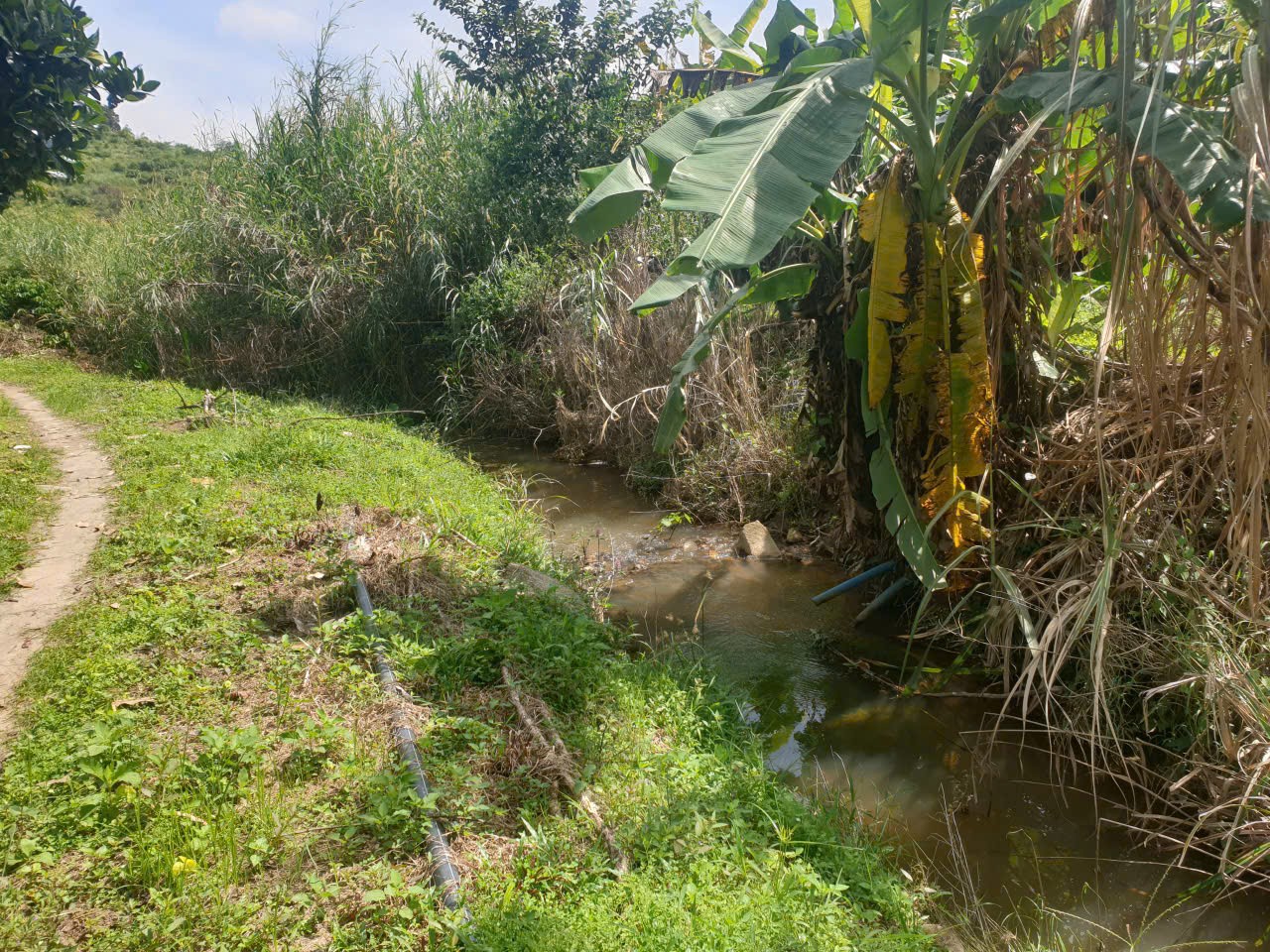 Bán đất vườn view đẹp thôn 10, xã Lộc Nam tdt 14.500m2 giá 11,2 tỷ 5