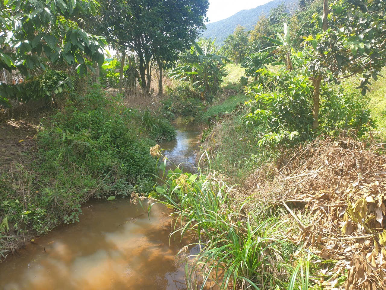 Bán đất vườn view đẹp thôn 10, xã Lộc Nam tdt 14.500m2 giá 11,2 tỷ 7