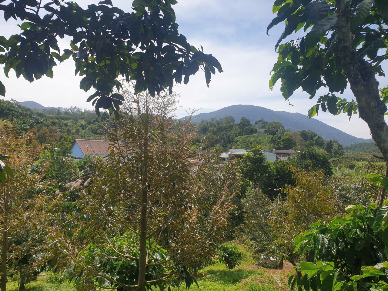 Bán đất vườn view đẹp thôn 10, xã Lộc Nam tdt 14.500m2 giá 11,2 tỷ 12