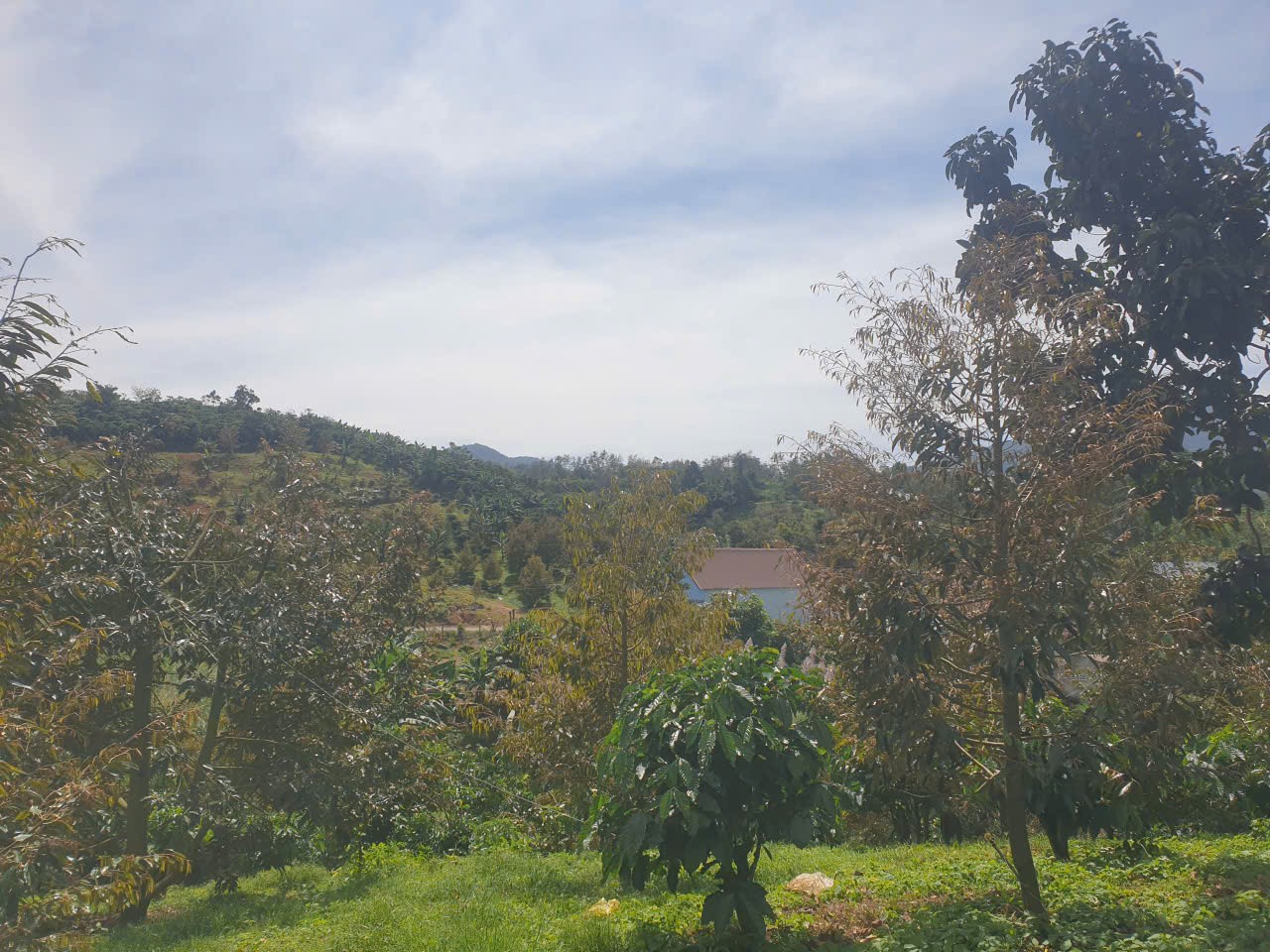 Bán đất vườn view đẹp thôn 10, xã Lộc Nam tdt 14.500m2 giá 11,2 tỷ 15