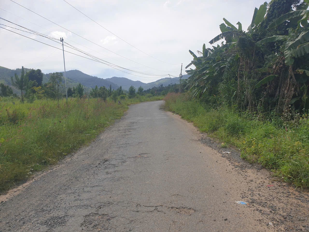 Bán đất vườn view, mặt tiền đường nhựa thôn 10, xã Lộc Nam, huyện Bảo Lâm dt 8.876m2 giá 5,9 tỷ 2