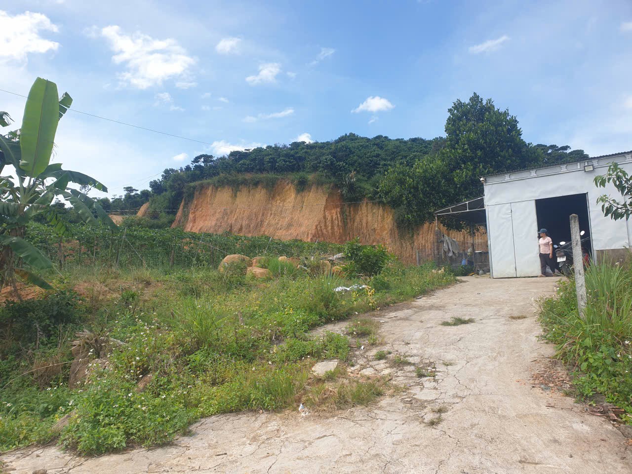 Bán đất vườn view, mặt tiền đường nhựa thôn 10, xã Lộc Nam, huyện Bảo Lâm dt 8.876m2 giá 5,9 tỷ 4