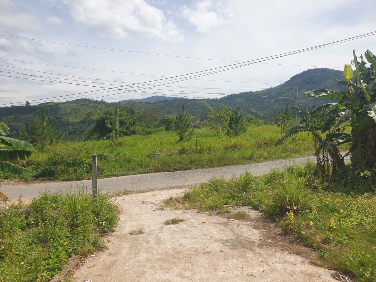 Bán đất vườn view, mặt tiền đường nhựa thôn 10, xã Lộc Nam, huyện Bảo Lâm dt 8.876m2 giá 5,9 tỷ 5