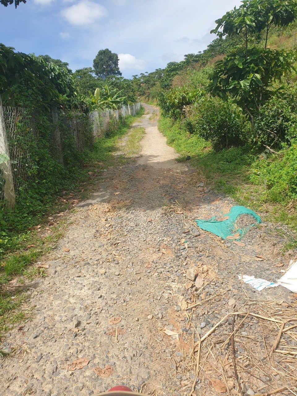 Bán đất vườn view, mặt tiền đường nhựa thôn 10, xã Lộc Nam, huyện Bảo Lâm dt 8.876m2 giá 5,9 tỷ 7