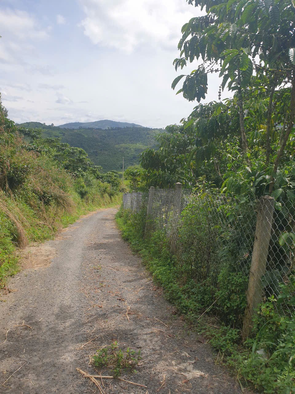 Bán đất vườn view, mặt tiền đường nhựa thôn 10, xã Lộc Nam, huyện Bảo Lâm dt 8.876m2 giá 5,9 tỷ 10