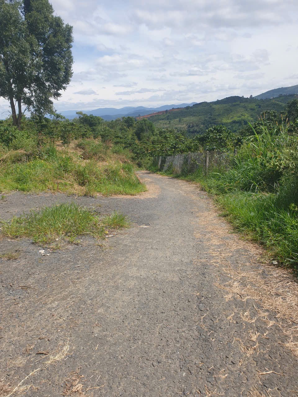 Bán đất vườn view, mặt tiền đường nhựa thôn 10, xã Lộc Nam, huyện Bảo Lâm dt 8.876m2 giá 5,9 tỷ 18