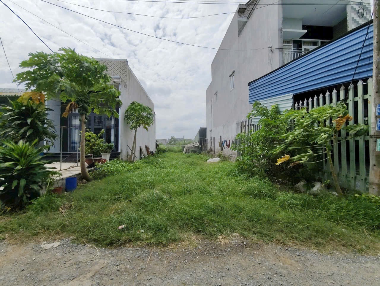 Bán đất thổ cư xã Mỹ Hạnh Nam dt 264m2 giá 1,67 tỷ 3