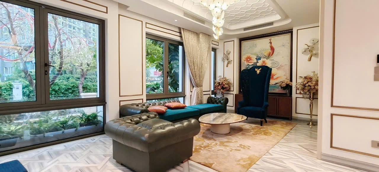 Cần bán Biệt thự Phường 22, Bình Thạnh, Diện tích 275m², Giá 250 Tỷ 8