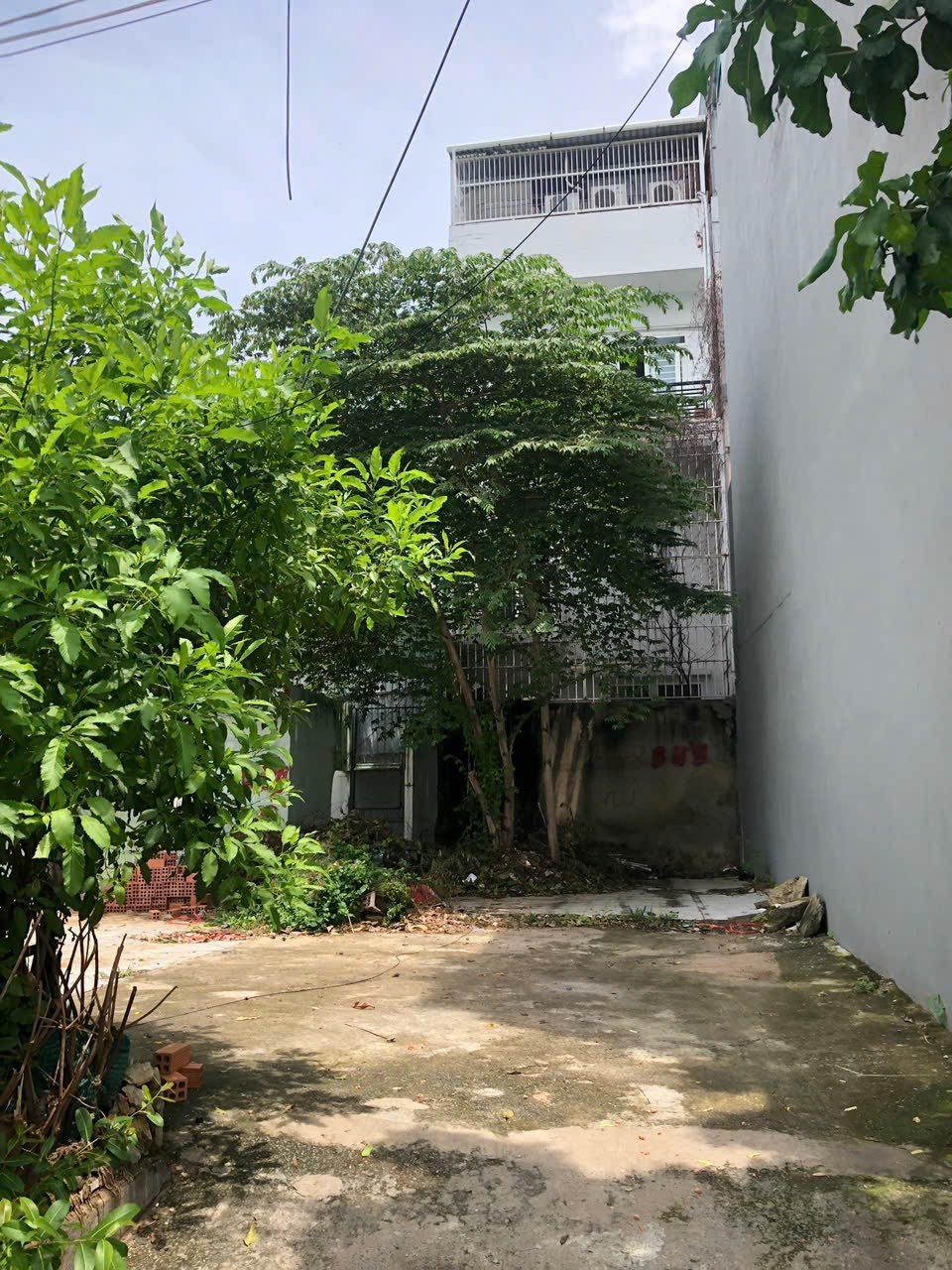 Cần bán Đất đường Tân Thuận Tây, Phường Tân Thuận Tây, Diện tích 70m², Giá 12.3 Tỷ