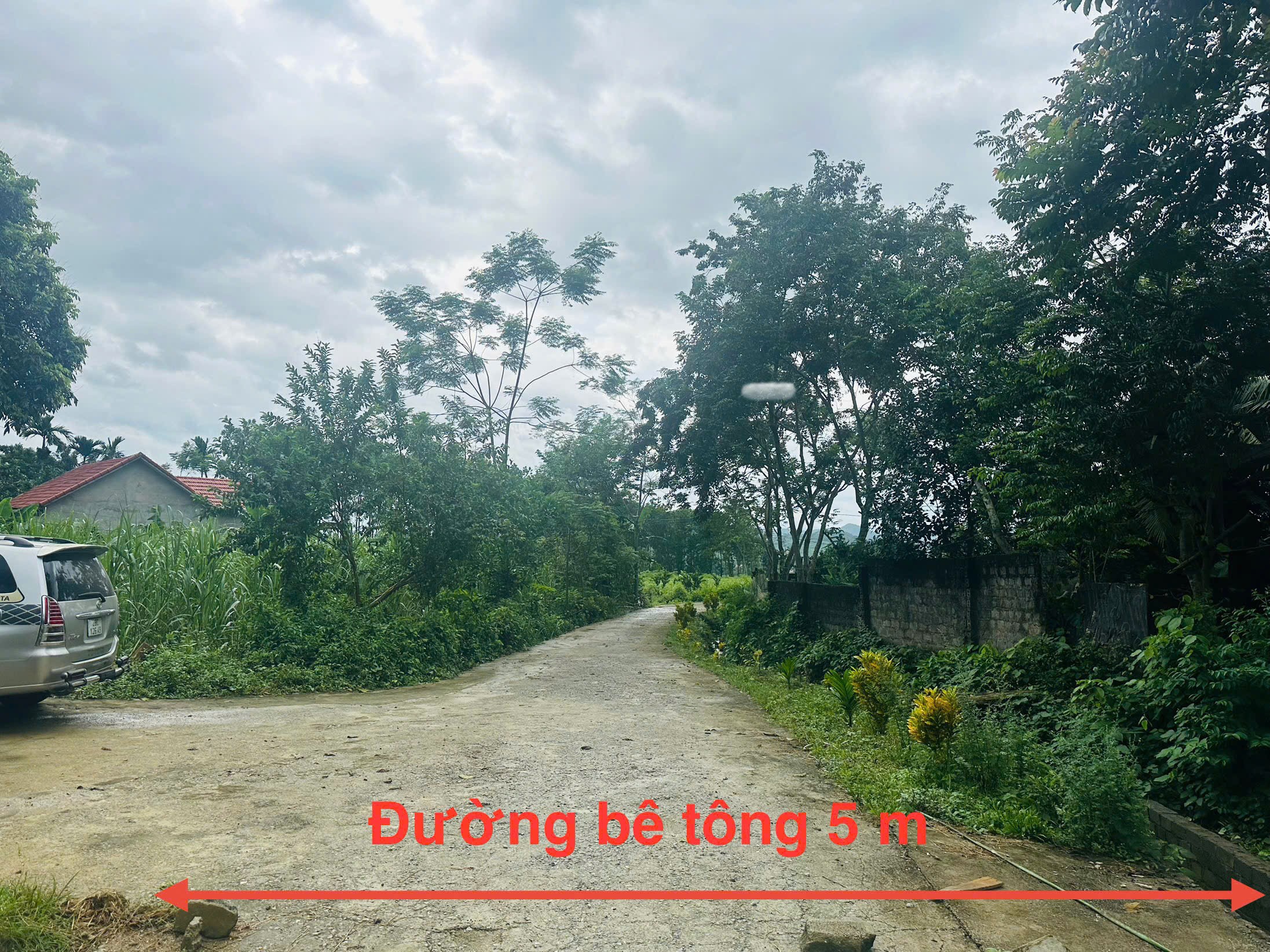 Cần bán Đất Xã Lạc Thịnh, Yên Thủy, Diện tích 153m², Giá 350 Triệu