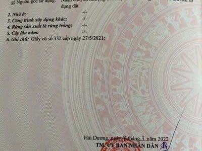 Cần bán Đất Phường Nhị Châu, Hải Dương, Diện tích 317m², Giá 175 Triệu/m²