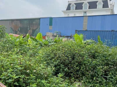 Cần bán Đất Phường Nhị Châu, Hải Dương, Diện tích 317m², Giá 175 Triệu/m² 2