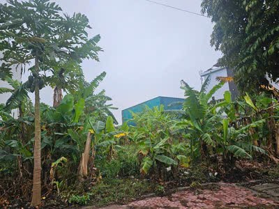 Cần bán Đất Phường Nhị Châu, Hải Dương, Diện tích 256m², Giá 176 Triệu/m²