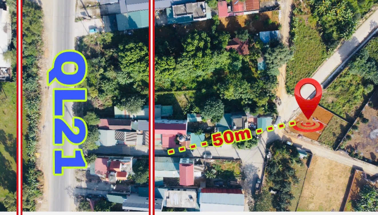 DUY NHẤT 2 LÔ F0 – GIÁ RẺ NHẤT THỊ TRƯỜNG 4