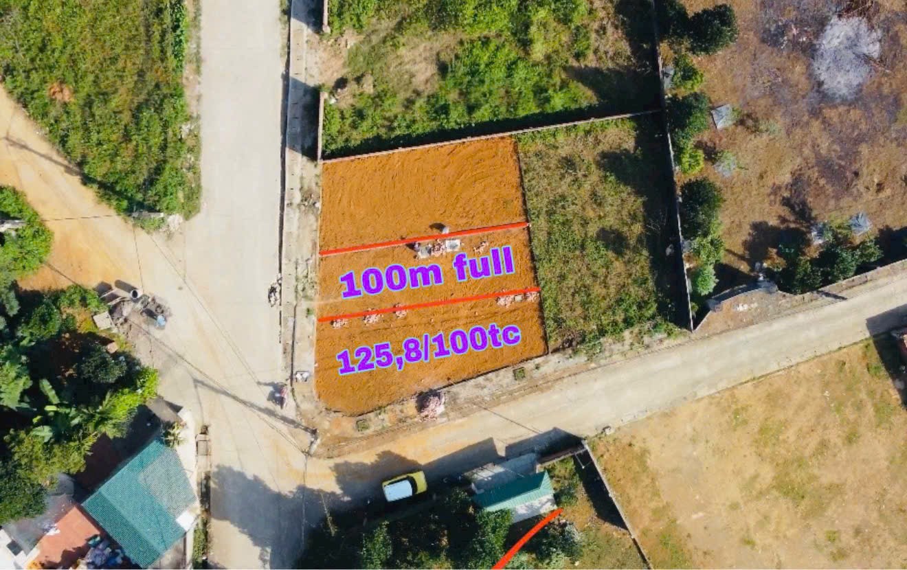 DUY NHẤT 2 LÔ F0 – GIÁ RẺ NHẤT THỊ TRƯỜNG 3