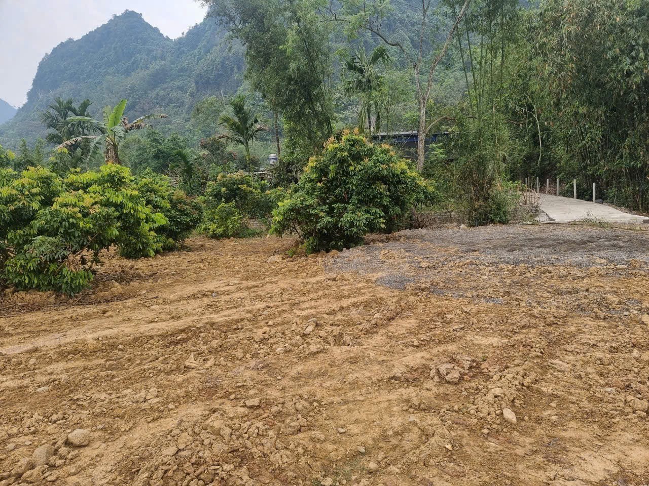 Cần bán Đất đường Quốc Lộ 12B, Xã Tú Sơn, Diện tích 2200m², Giá 2.6 Tỷ 2