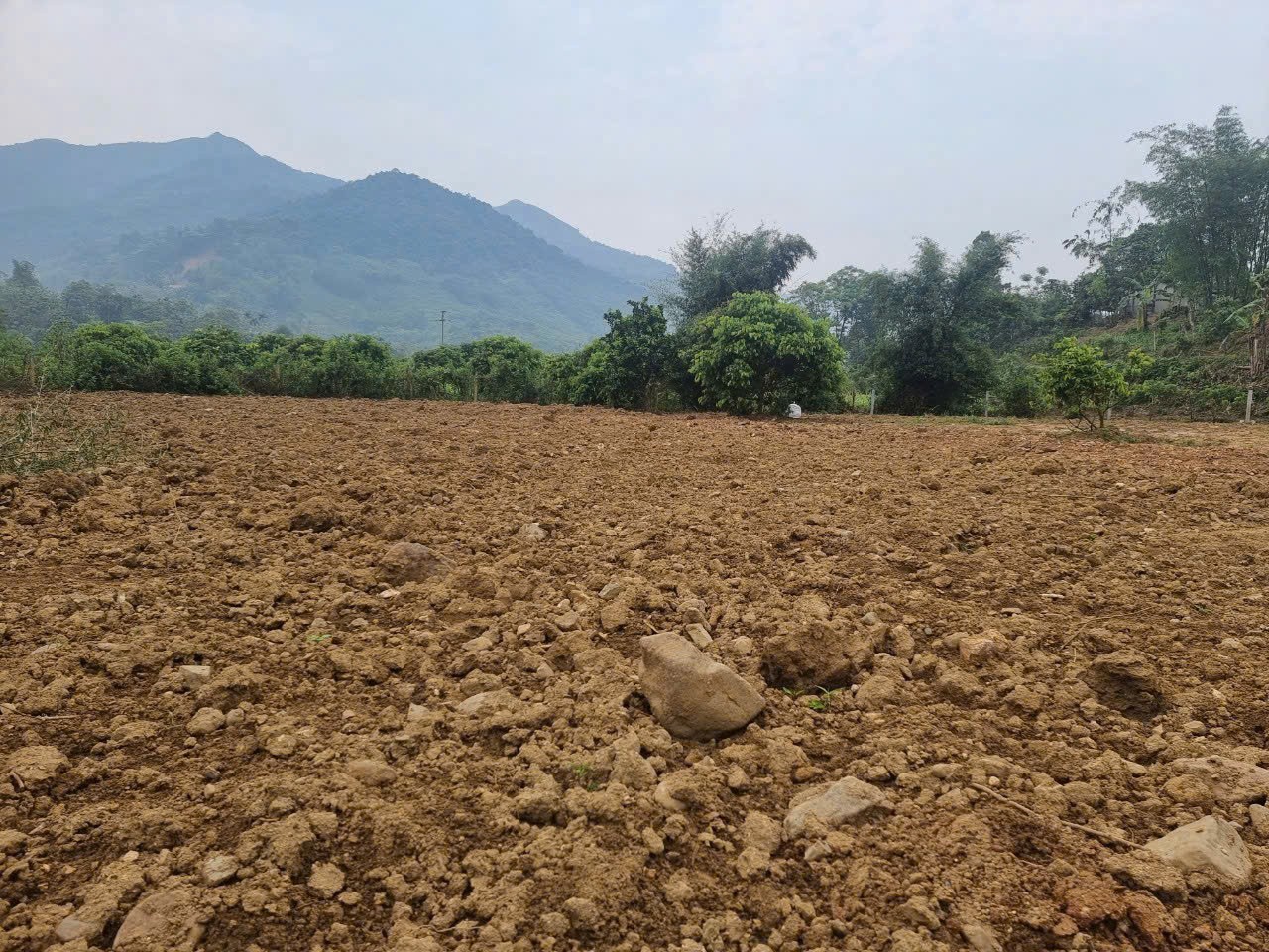 Cần bán Đất đường Quốc Lộ 12B, Xã Tú Sơn, Diện tích 2200m², Giá 2.6 Tỷ 3