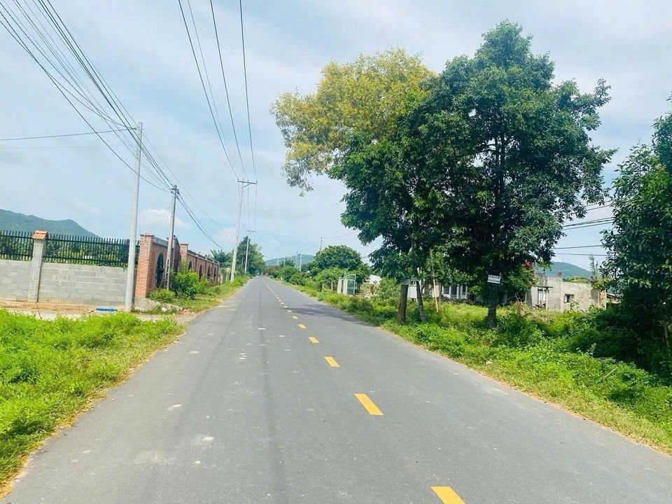 CHỦ KẸT TIỀN – XOAY VIỆC GẤP TRONG TUẦN NÊN CẦN BÁN NHANH LÔ ĐẸP PHƯỚC HẢI