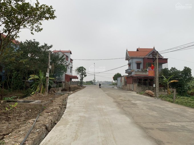 Cần bán Đất Xã Trừng Xá, Lương Tài, Diện tích 136m², Giá 16 Triệu/m² 1