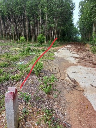 Bán đất xã Khánh Bình cắt lỗ 1 lô duy nhất chỉ 550tr cho hơn 2000m2 tại Khánh Vĩnh 2