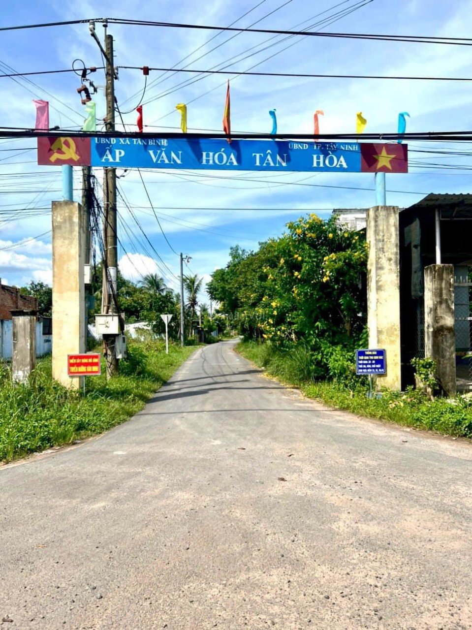 Cần bán Đất đường Trần Văn Trà, Xã Tân Bình, Diện tích 242m², Giá  Triệu 4
