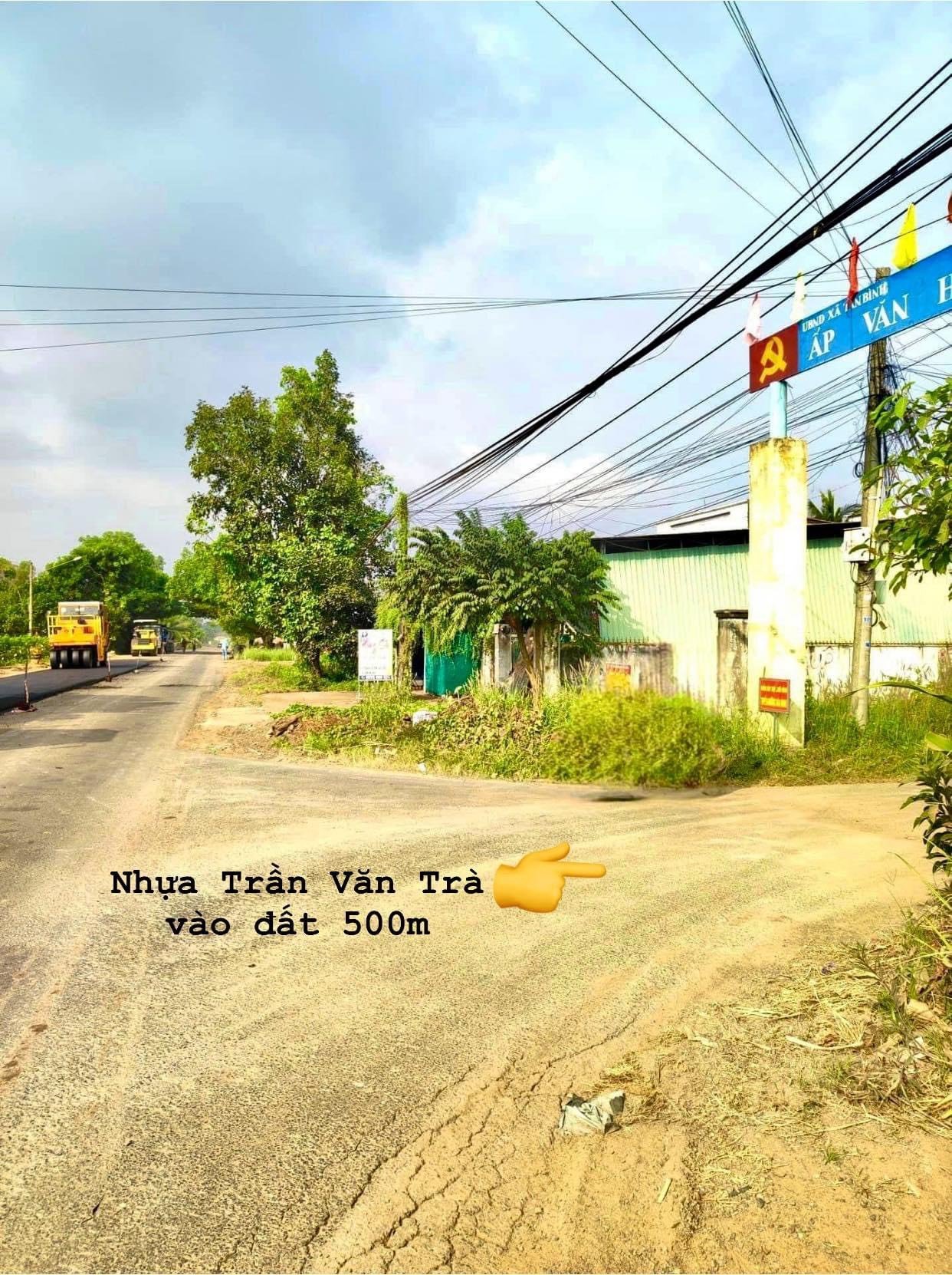 Cần bán Đất đường Trần Văn Trà, Xã Tân Bình, Diện tích 242m², Giá  Triệu