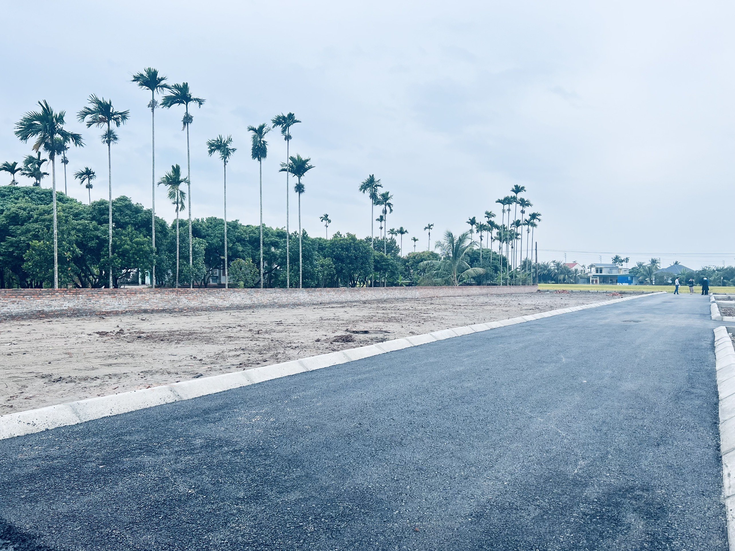 Cần bán Đất nền dự án đường 304, Xã Quang Hưng, Diện tích 65m², Giá Thương lượng 1