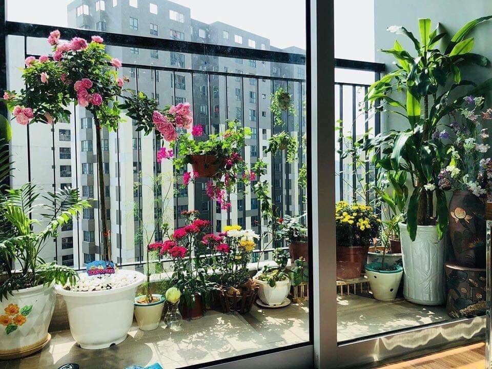 Cần bán Căn hộ chung cư dự án Seasons Avenue, Diện tích 111m², Giá 4500 Triệu 5