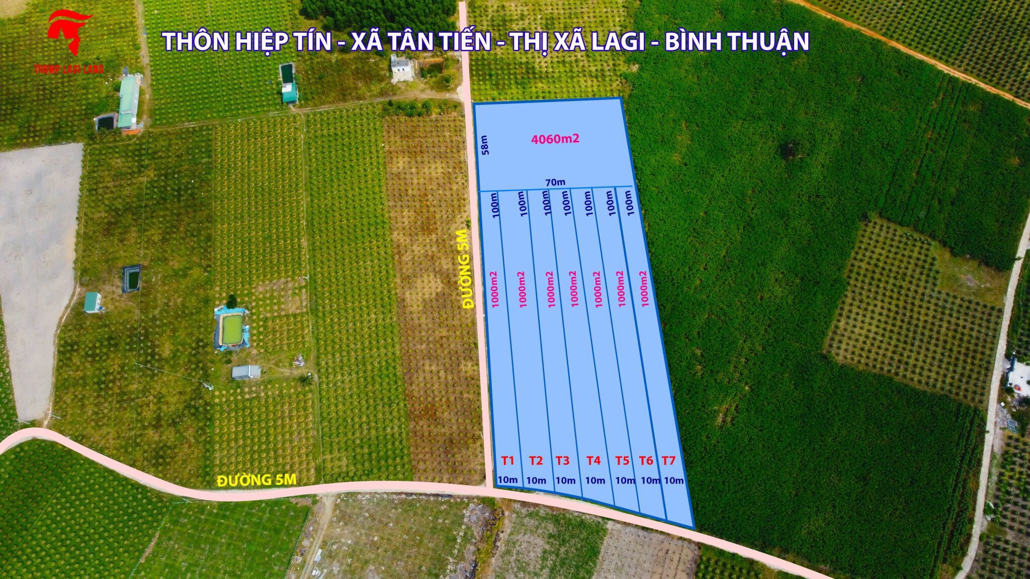 Cần bán Đất đường Nguyễn Trãi, Xã Tân Tiến, Diện tích 1000m², Giá 750 Triệu 6