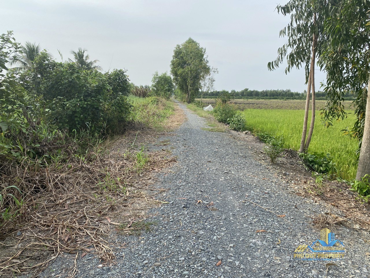 Bán đất vườn 500m2 tại huyện Thủ Thừa, Long An 3