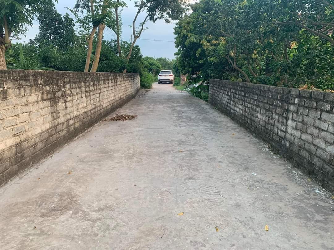 Cần bán Đất đường Lương Tài, Xã Minh Tân, Diện tích 880m², Giá 13.3 Tỷ 2