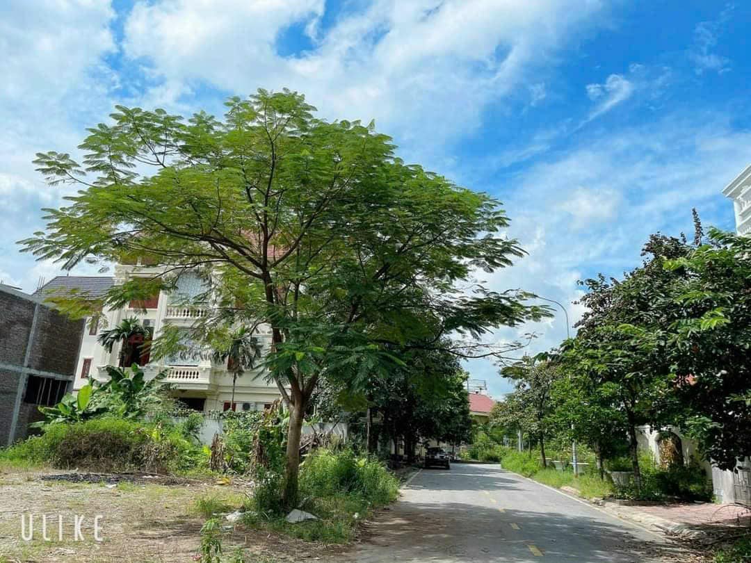 Bán lô đất biệt thự Trường An, ph Thanh Bình, TP HD, 252m2, 3 mặt tiền, view vườn cây xanh, giá tốt 3