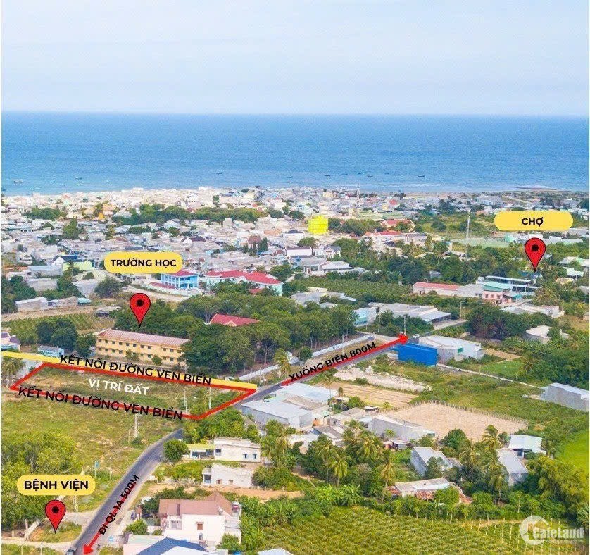 Đất biển sổ đỏ Bình Thuận, gần Cao Tốc, Cảng, Sân bay giá đầu tư