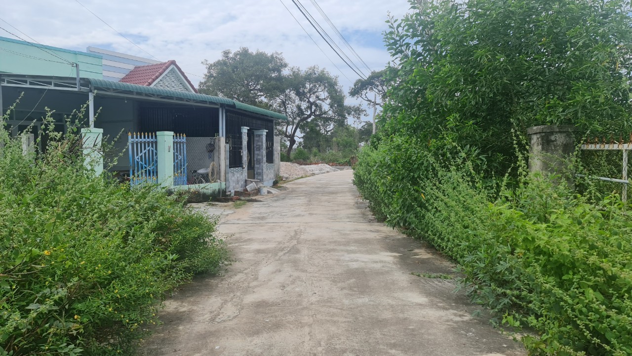 Cần bán Đất đường Nguyễn Tri Phương, Xã Tân Bình, Diện tích 533m², Giá Thương lượng 1