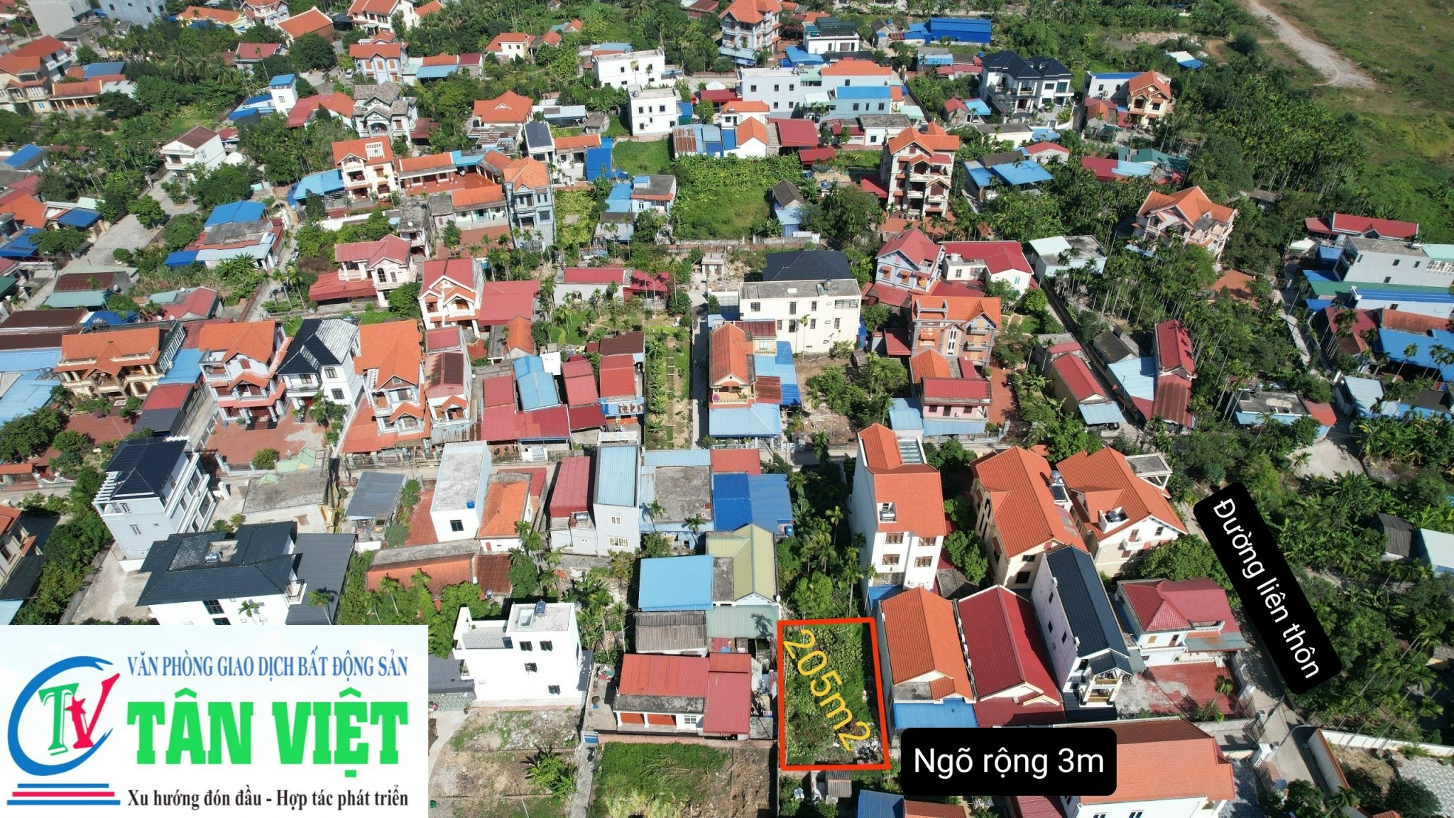 Cần bán Đất đường 359, Xã Dương Quan, Diện tích 205m², Giá 3.286.000.000 Tỷ