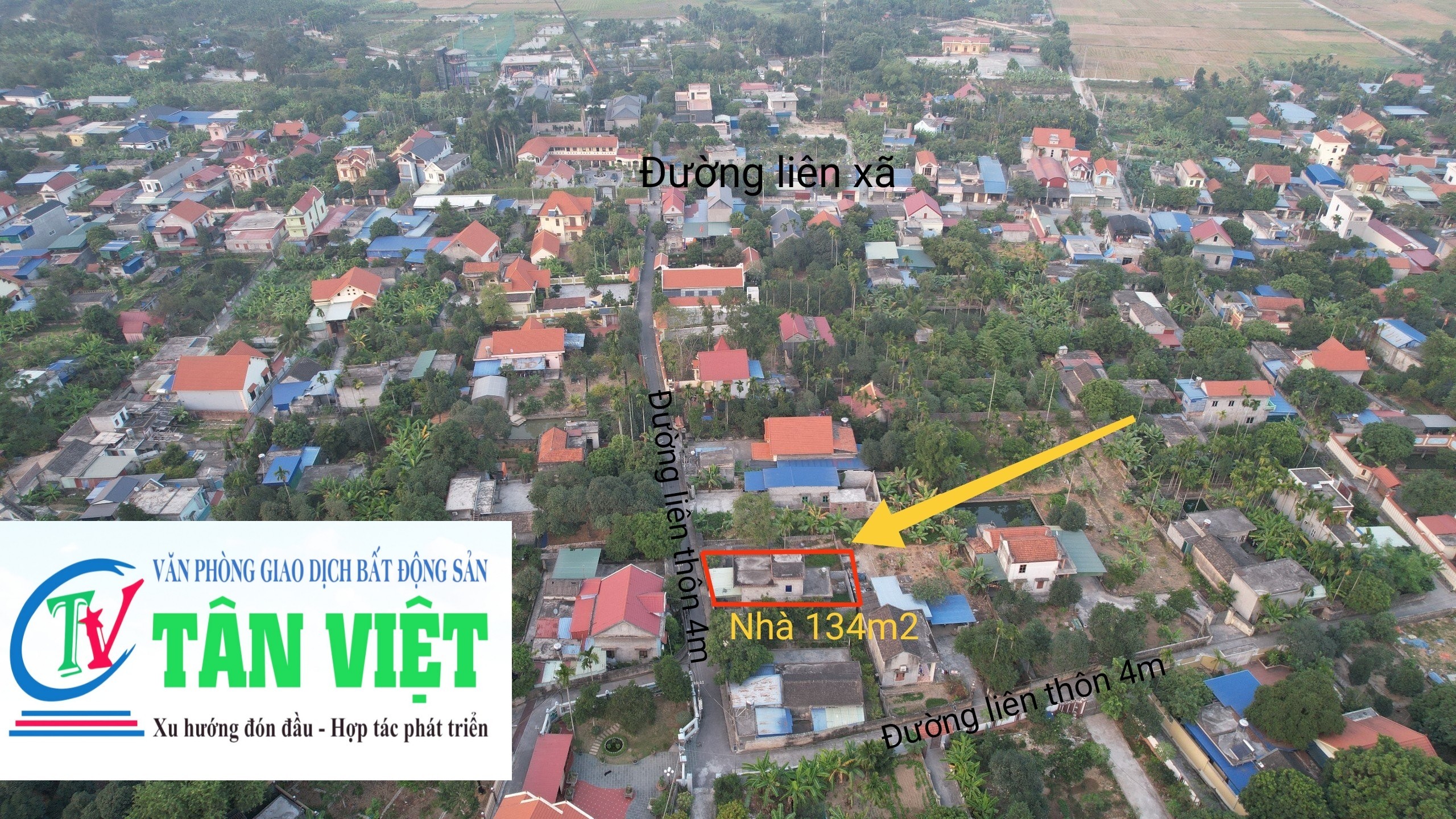 Cần bán Đất đường 359, Xã Phù Ninh, Diện tích -1130m², Giá Thương lượng 8