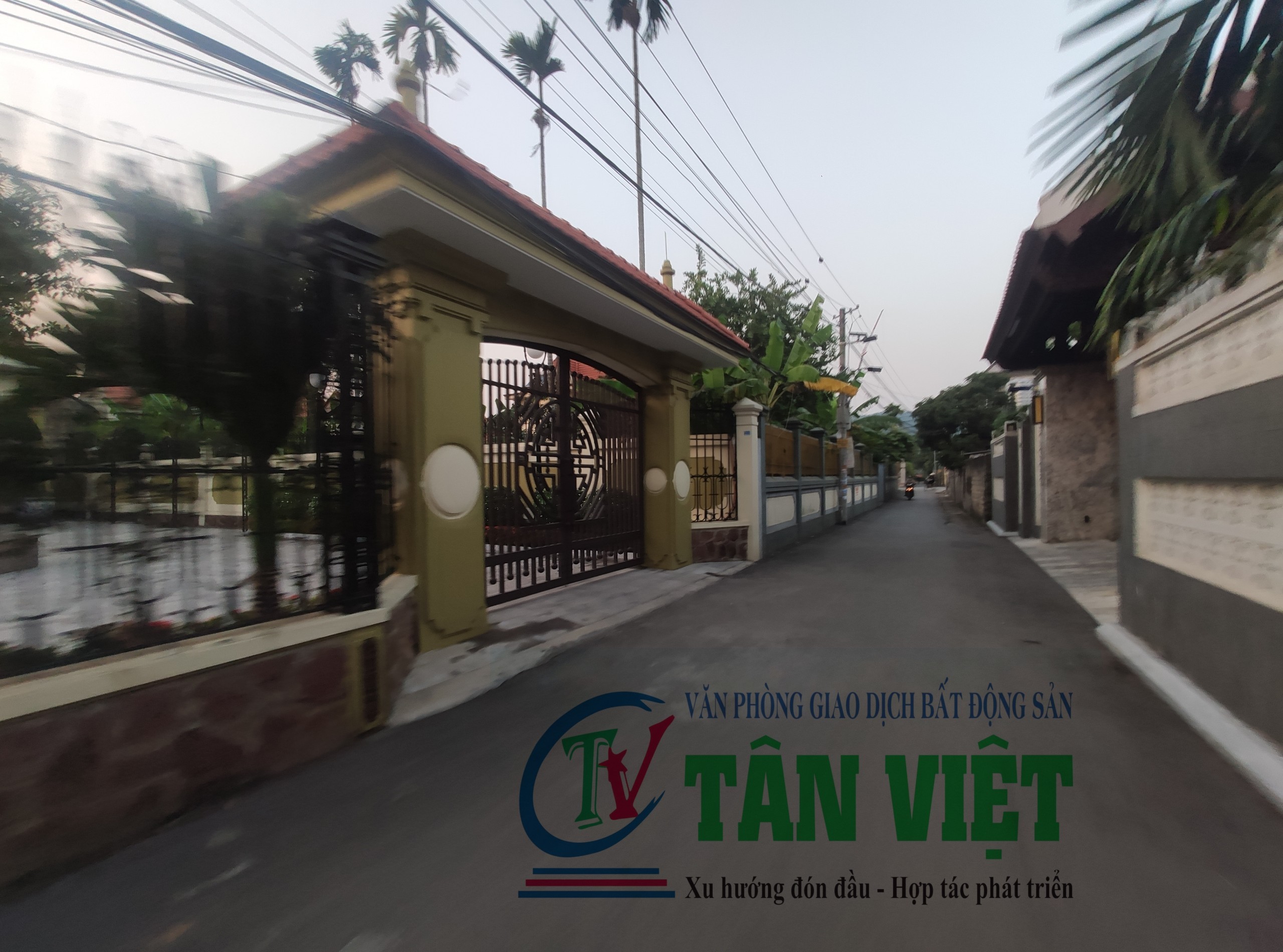 Cần bán Đất đường 359, Xã Phù Ninh, Diện tích -1130m², Giá Thương lượng 1