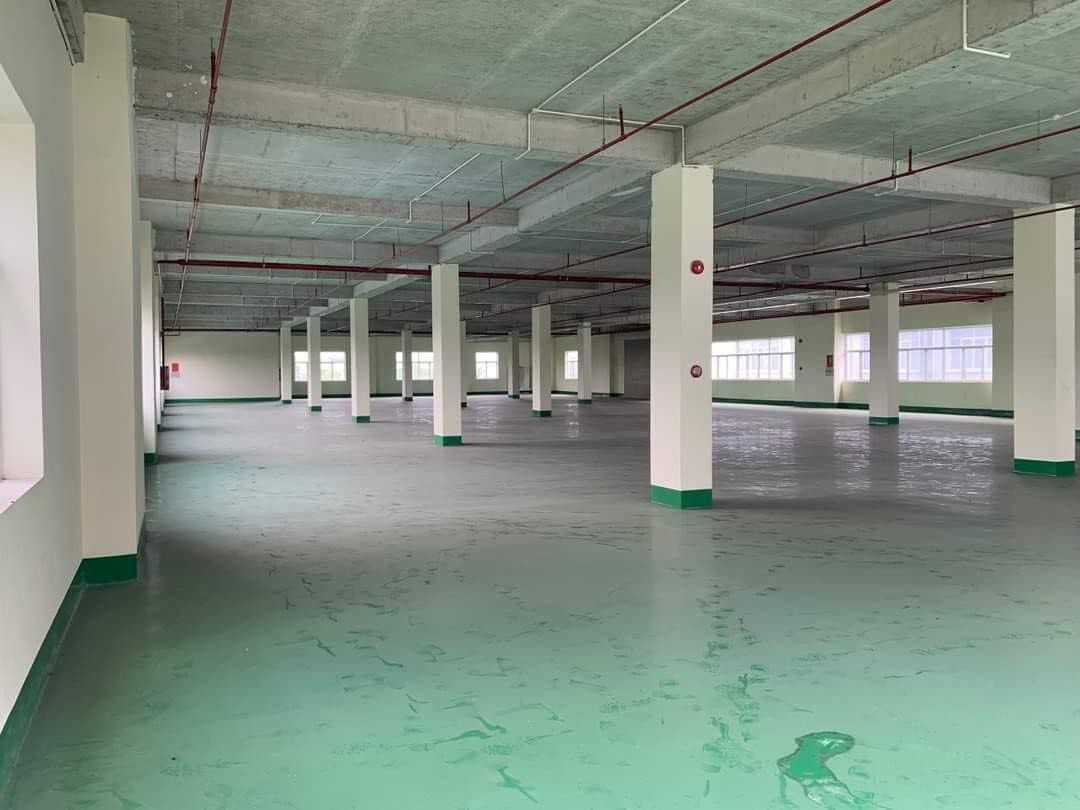 Cho thuê xưởng đường N6, Phường Tân Phú, Diện tích 2797m², Giá 140 Trăm/m²/tháng 1