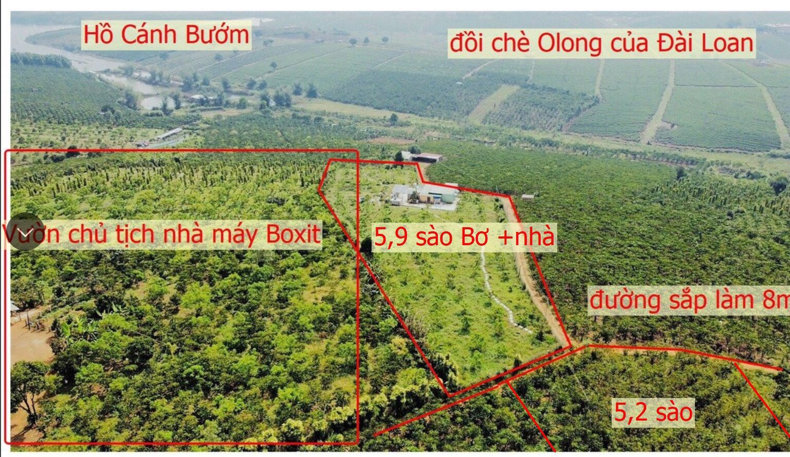 Cần bán Đất Bảo Lộc, Lâm Đồng, Diện tích 5900m², Giá Thương lượng 1