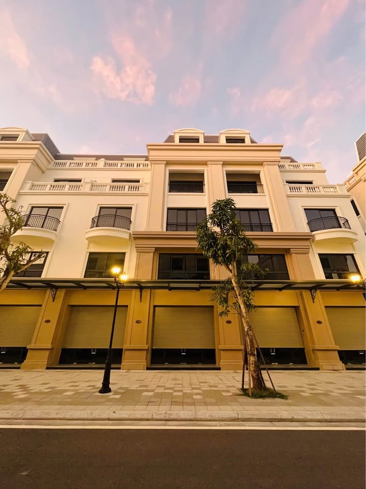 Bán Căn Shophouses TC1-08 VINHOMES GOLDEN AVENUE MÓNG CÁI, Quảng Ninh. GIÁ RẺ NHƯ CHUNG CƯ