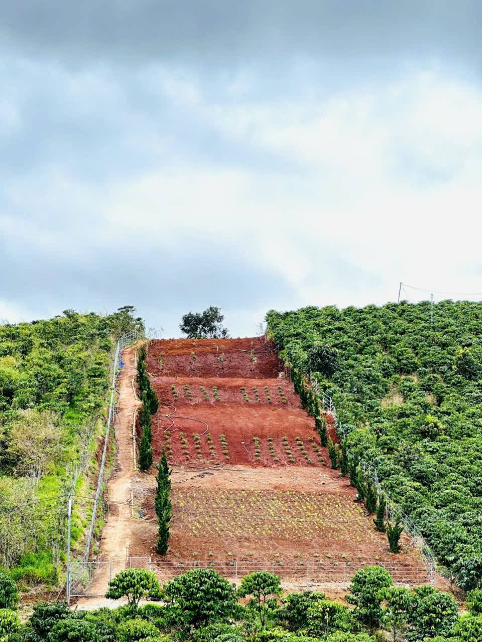 Hạ giá Bán gấp Lô Đất rộng view đẹp Tà Nung, Đà Lạt 2554m2 giá chỉ 4 tỷ