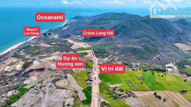 Cần bán Đất Đất Đỏ, Bà Rịa Vũng Tàu, Diện tích 5867m², Giá Thương lượng 2