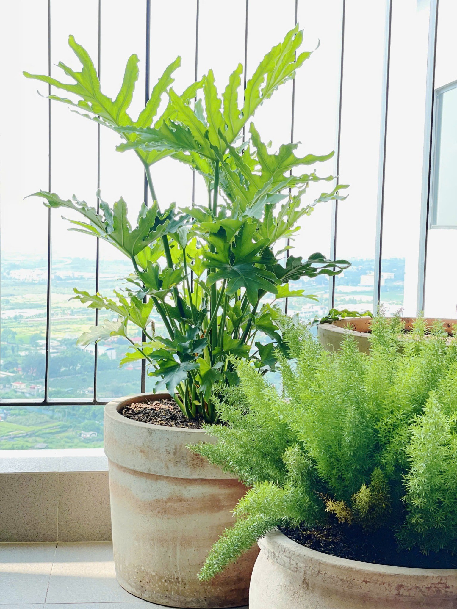 Căn hộ 2 ngủ đẹp Ocean Park – Full đồ mới – Vào ở ngay – Hỗ trợ khách 24/7 9