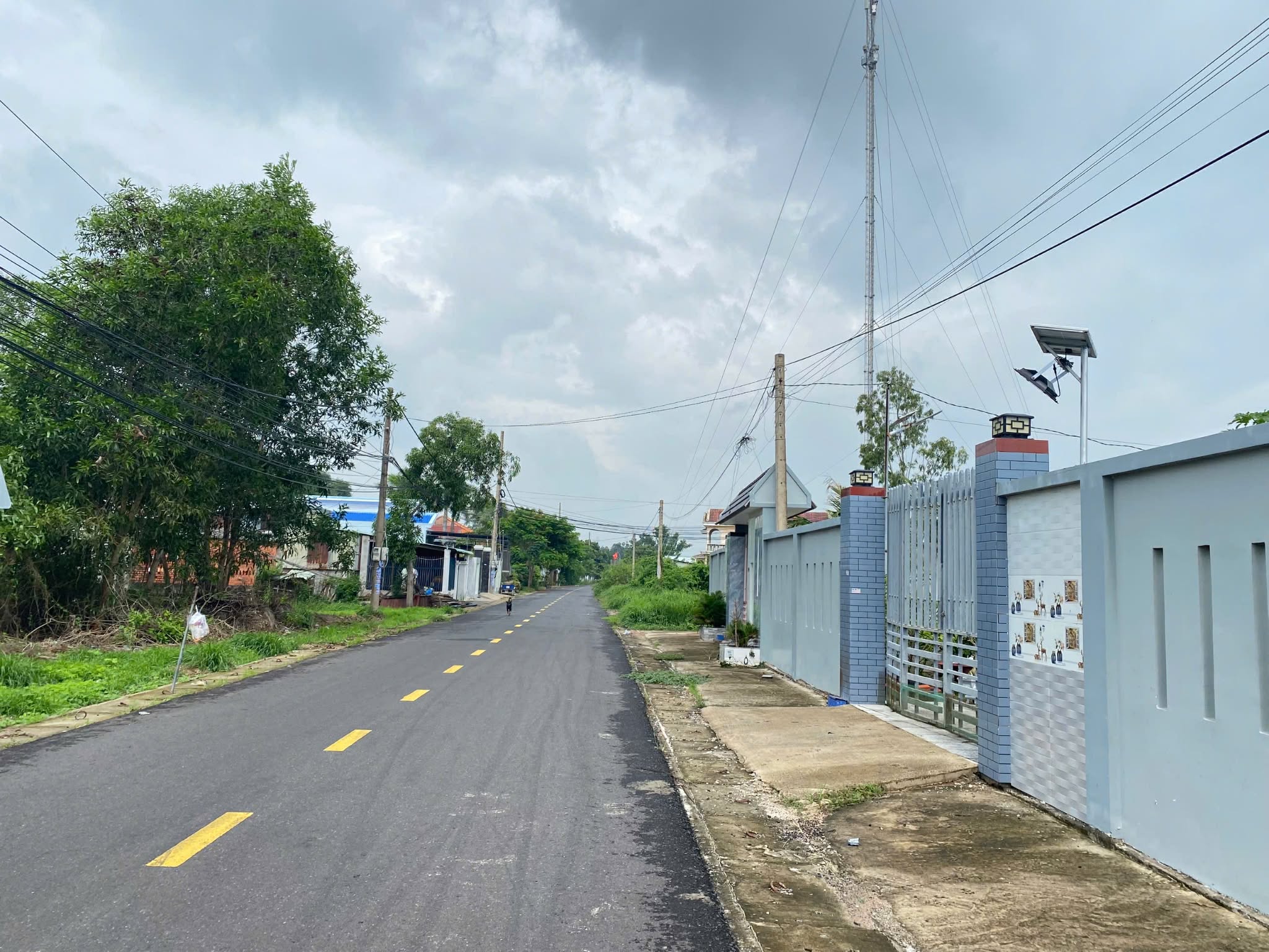 Cần bán Đất đường Võ Văn Kiệt, Xã Lộc An, Diện tích 151m², Giá 1.3 Tỷ 4