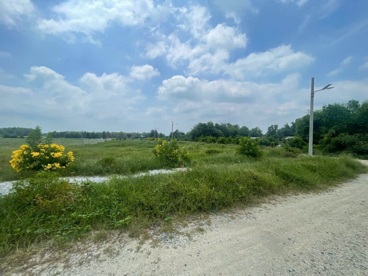 Cần bán Đất đường Võ Văn Kiệt, Xã Phước Hội, Diện tích 137m², Giá 1.2 Tỷ 5