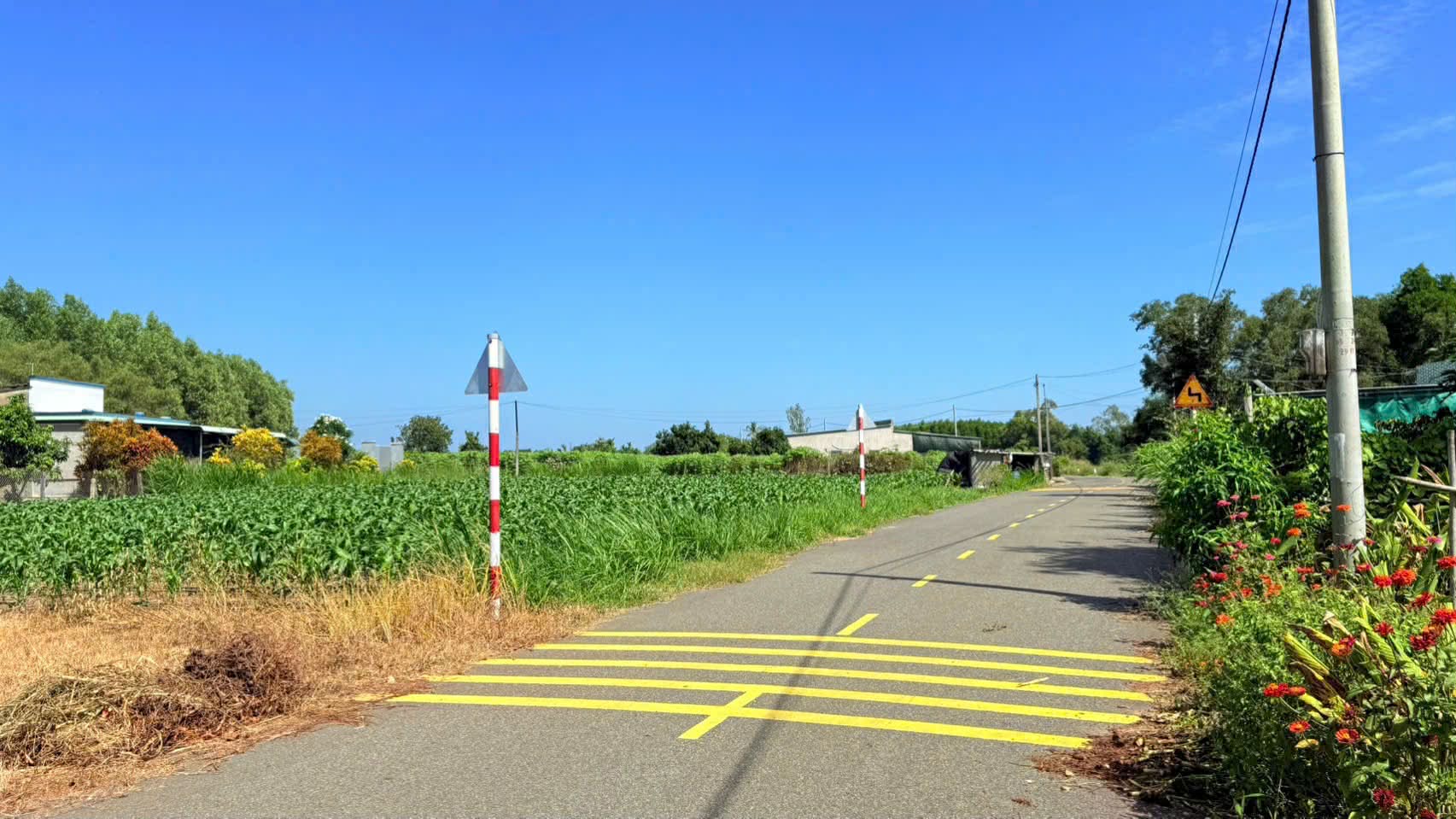 Cần bán Đất đường Tỉnh lộ 44, Thị trấn Đất Đỏ, Diện tích 170m², Giá 980 Triệu 3