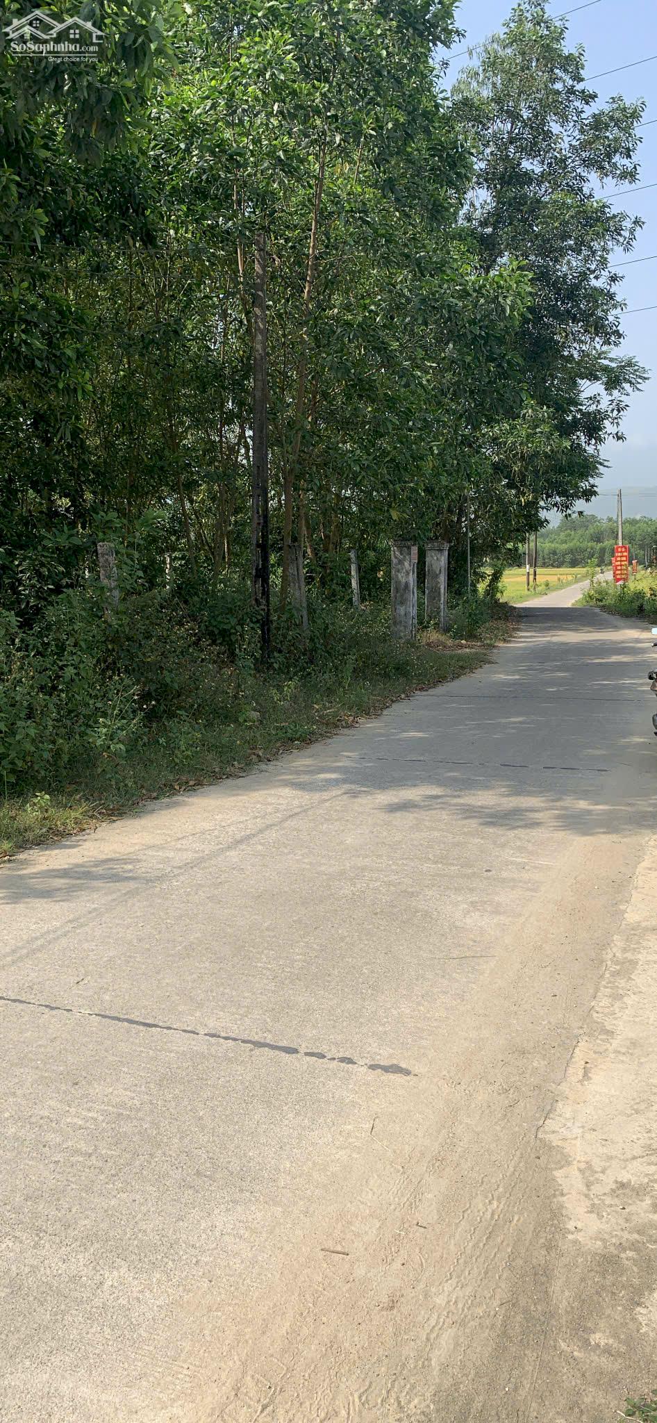 Chính Chủ Bán 1167,3m2 Đất Tại Xã Nghĩa Thuận, Huyện Tư Nghĩa, Tỉnh Quảng Ngãi. 2